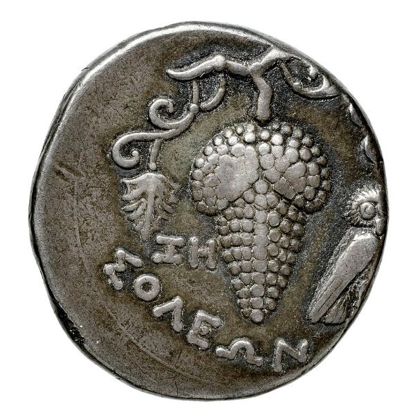Soloi (Mezitli) gümüş stateri — üzüm salkımı
